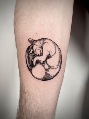 Elegant blackwork fine line tattoo of a cat in woodcut style, expertly done by tattoo artist Robin Rossi.