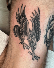 Diving Eagle