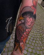 One-shot hawk for @dreamersxdisease ✨ Thank you for coming all the way from Tirol to get this done Stefan! Probably 2 more sessions and we‘re done with his sleeve, I can‘t wait to show you the final results! • #hawktattoo #hawk #falcontattoo #neotradhawk #neojapanese #neotradeu #neotradworldwide #neojapanesetattoo #austriantattooists #neotraditionaltattooers #wientattoo #tattoovienna #znidonis #viennatattoo #tattoowien #austriantattooartist