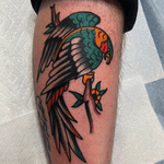 Parrot
