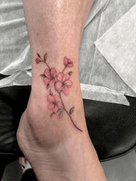 Cherry Blossoms