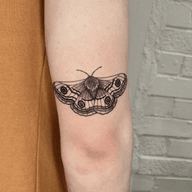 Moth Tattoo