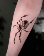 Chrome spider 🩶🕷️