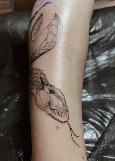 Snake with cactus flowers in fine line style