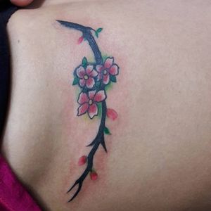 Flowers and branch #flower #flowers #branch #tree #nature #xallitictattooshop