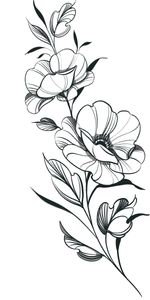 Fits well for 3-7inches long 