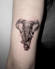 Absolutely loved doing this elephant for @the_real_ec_life . Dm/ email me for any design you have in mind 💃🏼 . #tattooing #tattoo #inktattoo #inklife #inkart #inked #elephant #realism #realismtattoo #inkedgirls #fineline #tattooartist #tattoos #tattooart #tattoist #london