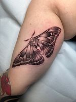 Detailed Moth Tattoo