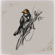 Glow-eyed Bird Sketch