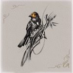 Glow-eyed Bird Sketch
