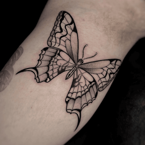 Spiderweb Butterfly Tattoo