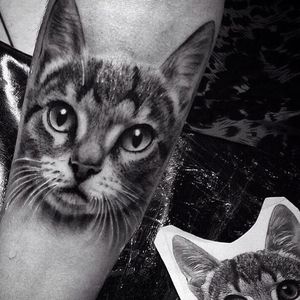 #portrait #cat #realistic #blackandgrey #ChicoMorbene