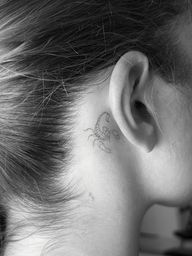 Tiny Scorpion Outline