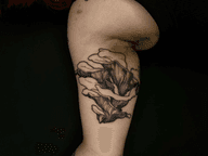 So excited to be back working on this botanical sleeve! LOVED doing the mushroom, please give me more mushroom projects! #queerartist #vegantattoo #inked #londontattoo #delicatetattoo #fineline #botanical #botanicaltattoos #mushrooms #mushroomtattoo #oystermushrooms