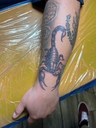 Black and Gray Scorpion