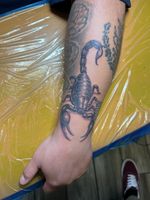 Black and Gray Scorpion