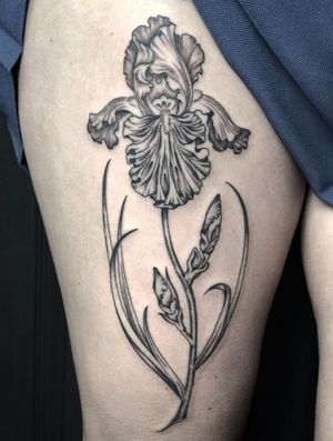 Beautifully detailed orchid flower design by Amandine Canata, perfect for a unique and elegant tattoo.
