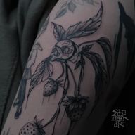 Skull and Strawberry Plant