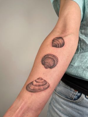 Realistic sea shells on forearm 