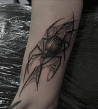 Spider with Web