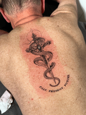 A stunning black and gray fine line tattoo featuring a beautiful snake intertwining with a dagger, done by the talented artist Ion Caraman.