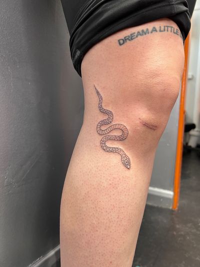 A fine line, illustrative snake tattoo by Inna, showcasing the elegant beauty of the slithering creature.