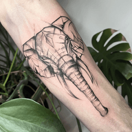 Geometric elephant