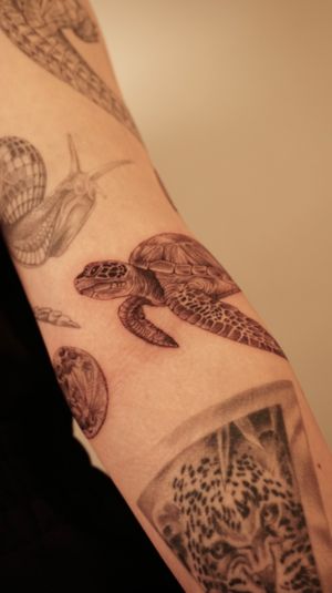 Micro realism Turtle tattoo on arm 