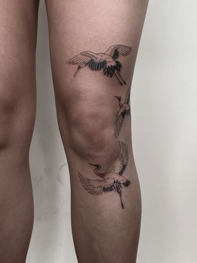 Express your love for nature with this blackwork fine line crane tattoo, beautifully designed by artist Lauren.