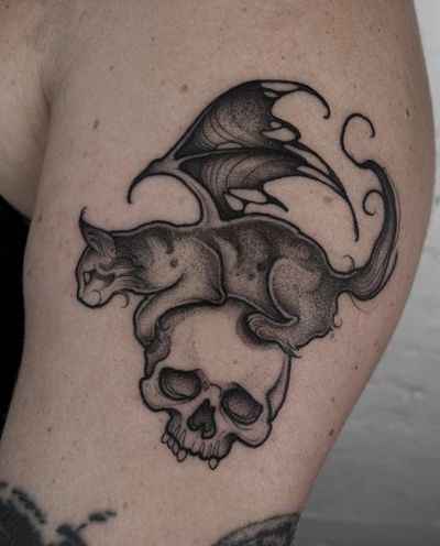 Little cat bat on a skull 