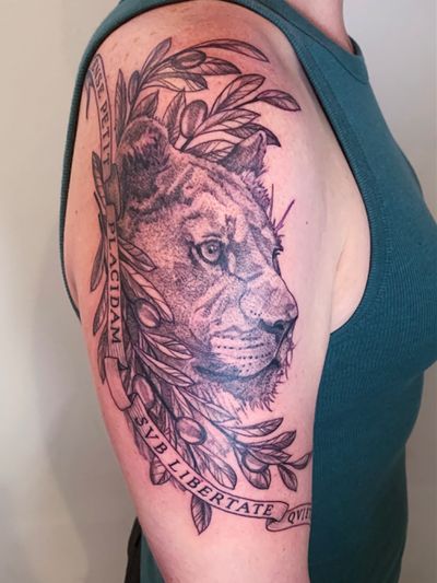 A majestic lion intertwined with a delicate olive branch, done in intricate black and gray dotwork. Located in New York.