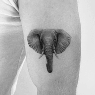 hey birmingham, i’m booking august and september at @thecornerofficestudio i also have a couple july spots left! let me know if you have any questions!
.
.
.
.
#tattoo
#tattoos
#tattooartist
#blacktattoo
#blackandgreytattoo
#microtattoo