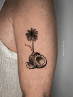 Coconut with Palm Tree