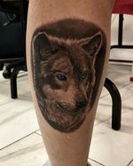 Wolf gang 🐺 🤩 Dm your projects #fabpercentink #montrealtattoo #realistictattoo #wolftattoo #calftattoo #inkedgirls #montrealartist