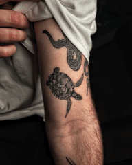 Sea Turtle with Octopus Tentacle