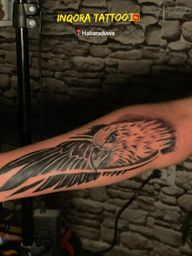 Eagle Head Portrait
