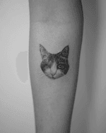 Cat Portrait