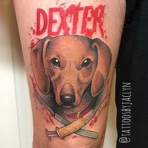 Dexter the dog by Jackie #davincitattoo #dog #dogportrait #dexter 
