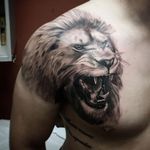Lion portrait by Rocky Burley #davincitattoo #lion #liontattoo #portrait #bigcat #animal