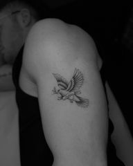 ?️ Made @wildcatinkireland #finelinetattoo #dovetattoo #smalltattoos #finelinetattooing #finelineartist #finelinetattooartist #birdtattoo