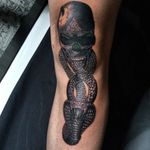 Harry Potter inspired piece done by me on my own leg. Gotta keep progressing forward. Still a long way to go. . . . . . . . . . . . . #art #artistsoninstagram #tattoo #tattoos #tattooapprentice #tattooideas #tattooartist #tattooart #blackandgreytattoo #snaketattoo #skulltattoo #cobratattoo #harrypotter #harrypottertattoo #deathlyhallows #deatheater #colorsplashtattoo #gryffindor #slytherin #ravenclaw #hufflepuff #gamerink