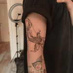 Abstract Koi Fish