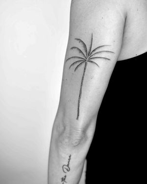 Elegantly detailed illustrative palm tree tattoo by Ruth Hall, capturing the beauty of nature in black and gray.
