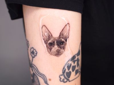 Cornish Rex, cat tattoo, micro realism, pet tattoo, london tattoo, memories tattoo