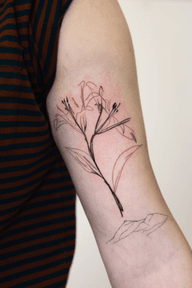 Plant and Mountain