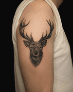 Stag Head Tattoo