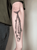 Mackerel