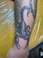Black and Gray Scorpion Tattoo