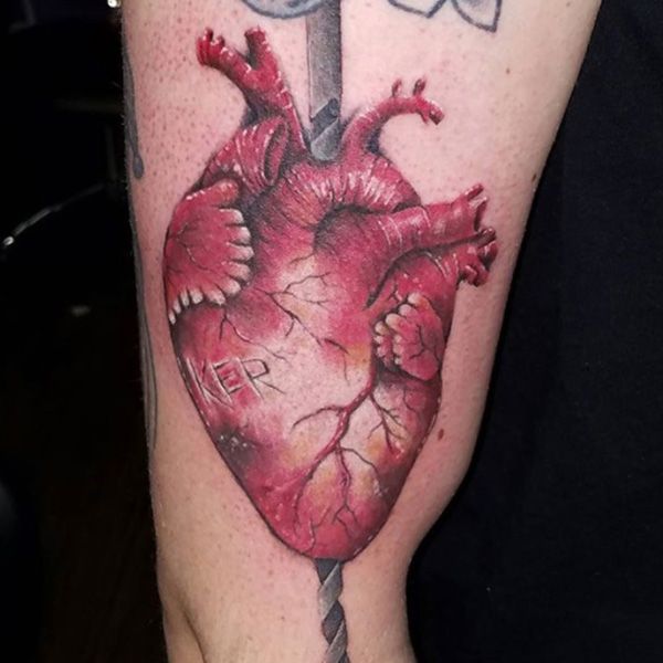 Traditional anatomical heart tattoo  Heart tattoo Tattoos Body art  tattoos