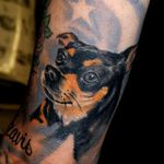 Pet / Dog Portrait Tattoo by The Red Parlour Tattoo #portrait #dog #pet #petportrait #dogportrait #theredparlour